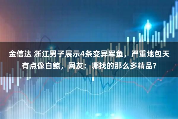 金信达 浙江男子展示4条变异军鱼，严重地包天有点像白鲸，网友：哪找的那么多精品?