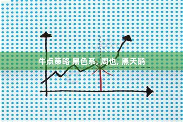 牛点策略 黑色系, 周也, 黑天鹅